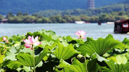 杭州市-上海瑞旭租車