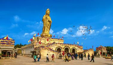 普陀山-上海瑞旭租車